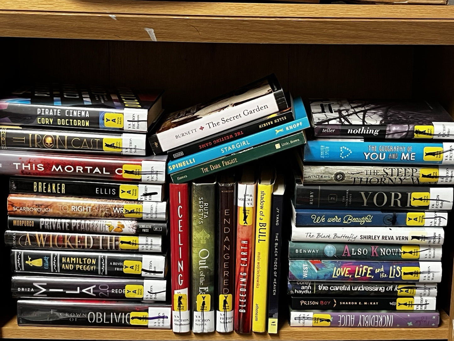 Lot of 20 Young Adults YA PRE-Teen Youth RANDOM UNSORTED BOOKS MIX HC/PB/SC