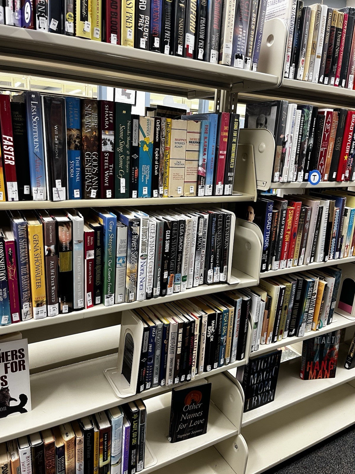 Wholesale Book Lot 202 Paperback/Hardcover Novels Cookbooks & More