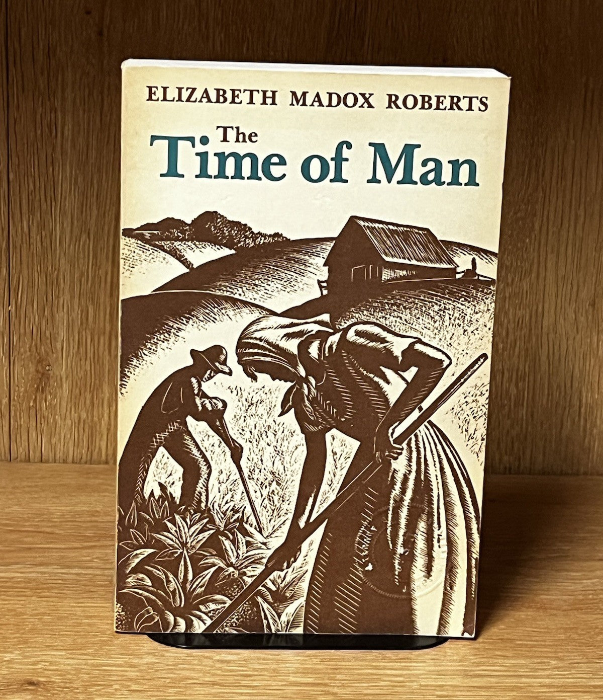 The Time of Man Elizabeth Madox Roberts 1982 Paperback