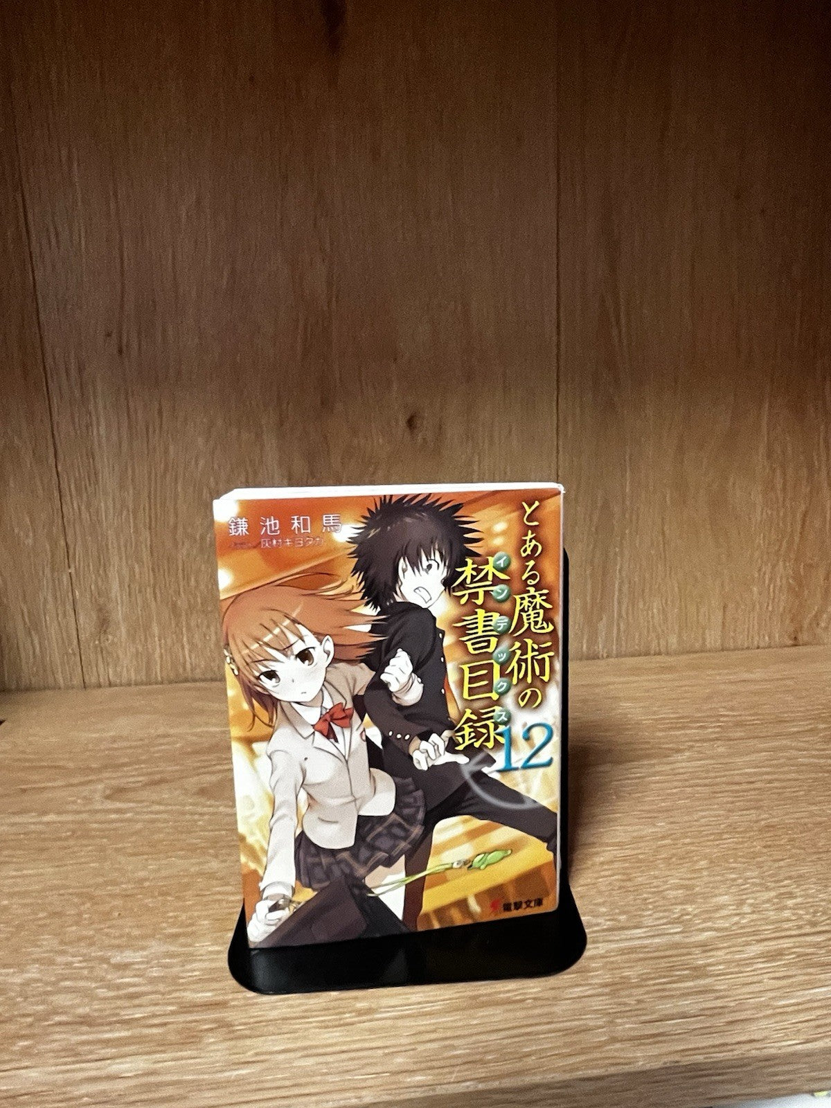 A Certain Magical Index Vol.12 Japanese Light Novel Book Comic Anime Manga