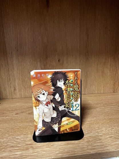 A Certain Magical Index Vol.12 Japanese Light Novel Book Comic Anime Manga
