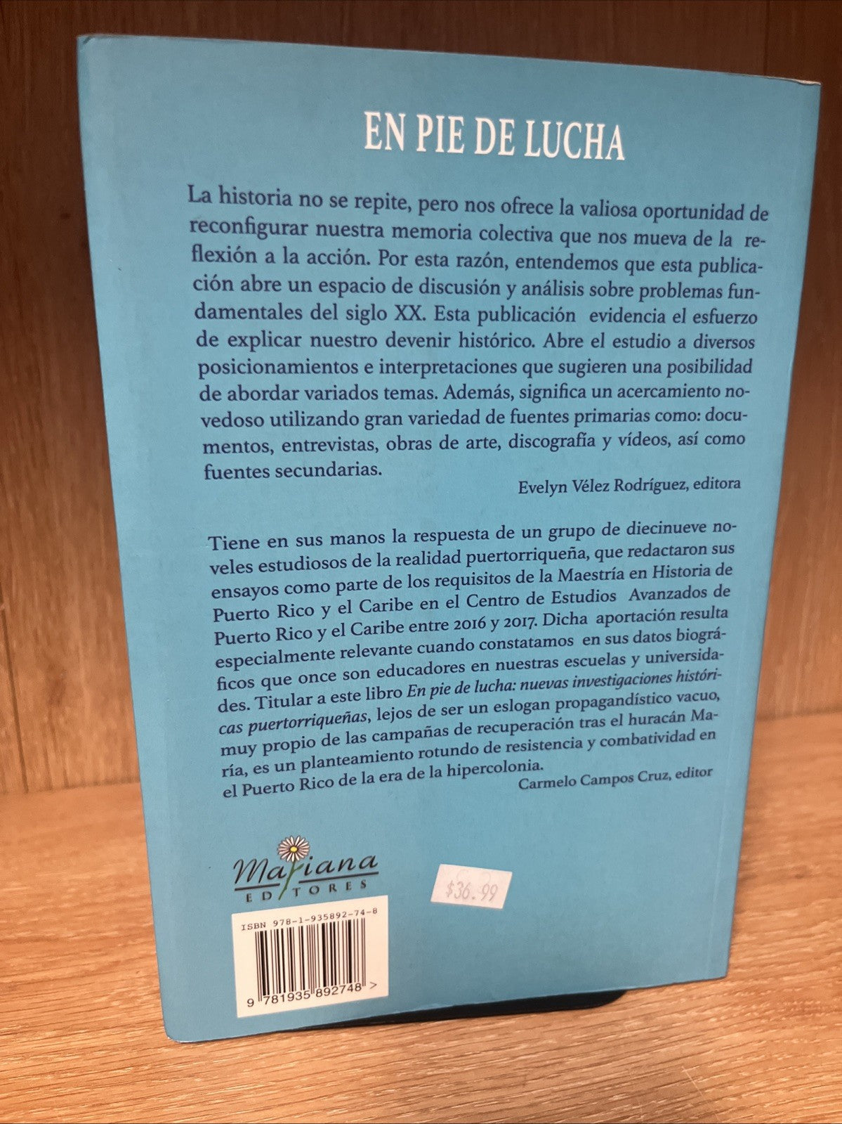 En pie de lucha: Nuevas investigaciones históricas puertorriqueñas (Spanish)