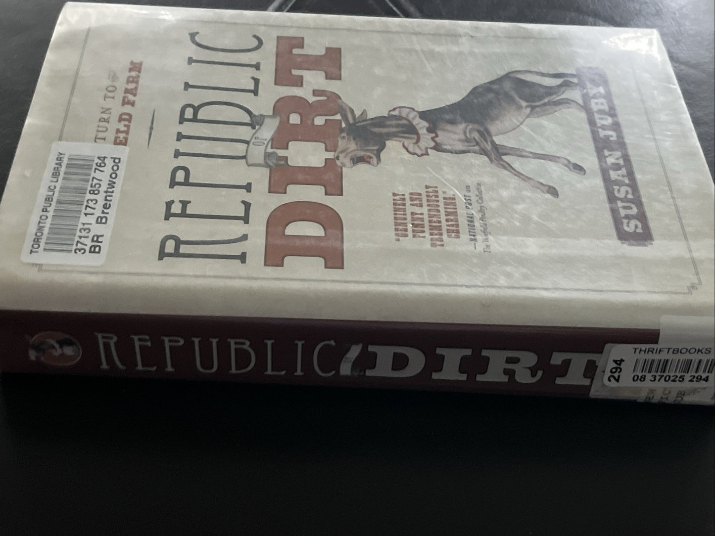Republic Of Dirt by Susan Juby