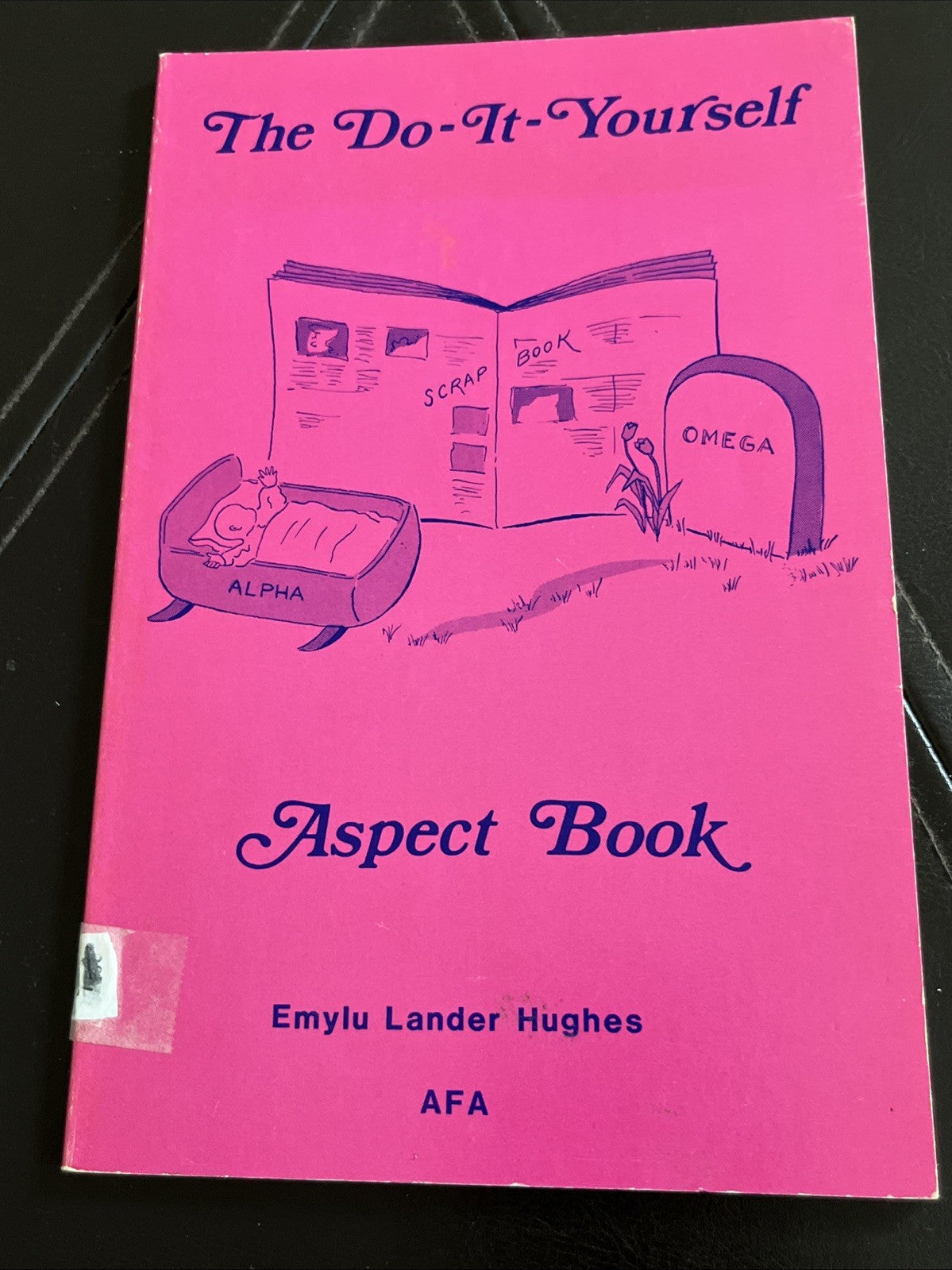 DO-IT-YOURSELF ASPECT BOOK By Emylu L. Hughes