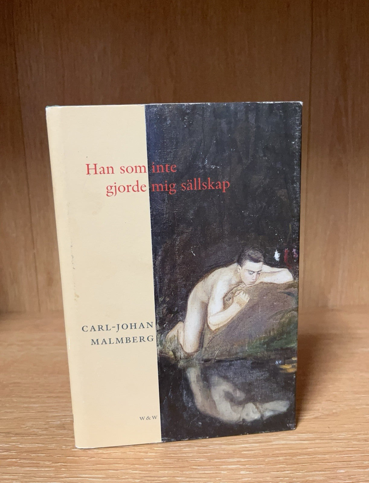 Han som inte gjorde mig sallskap by Carl-Johan Malmberg Swedish hc book novel