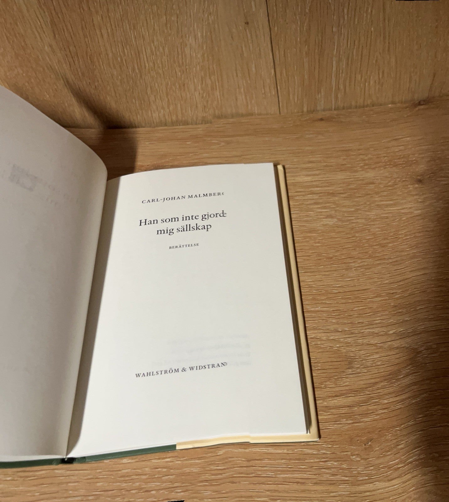 Han som inte gjorde mig sallskap by Carl-Johan Malmberg Swedish hc book novel