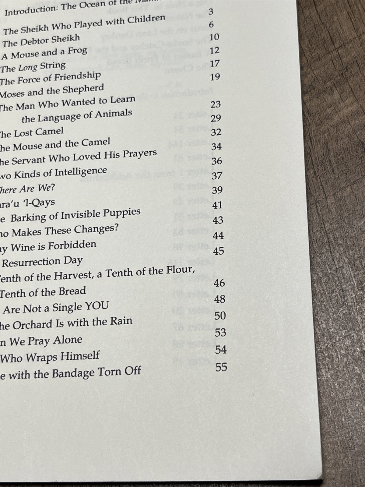 This Longing: Poetry, Teaching Stories, & Letters of Rumi Translated By Coleman