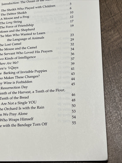This Longing: Poetry, Teaching Stories, & Letters of Rumi Translated By Coleman
