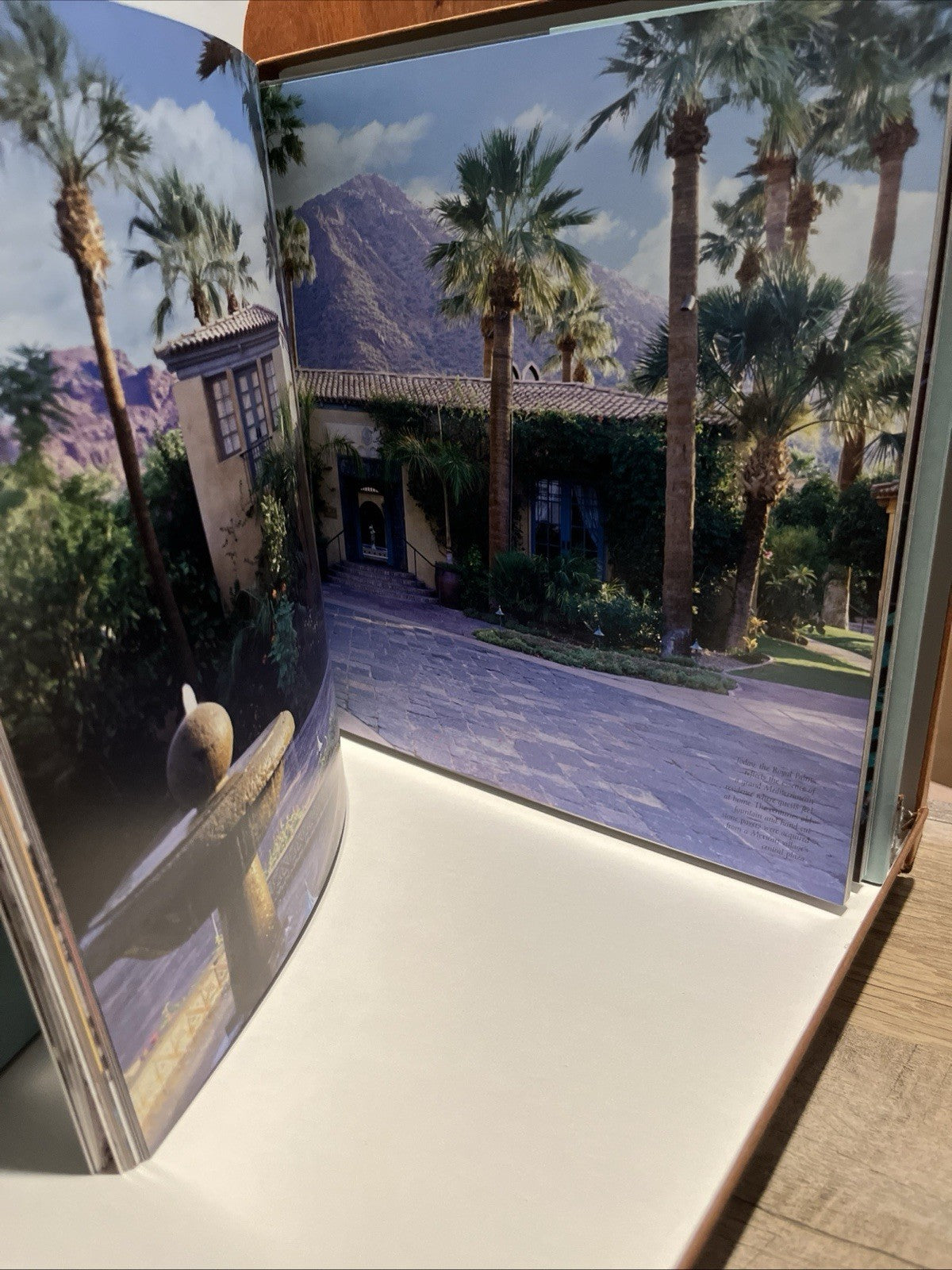 Desert Dream, Desert Romance : The History, Style and Food of the Royal Palms...