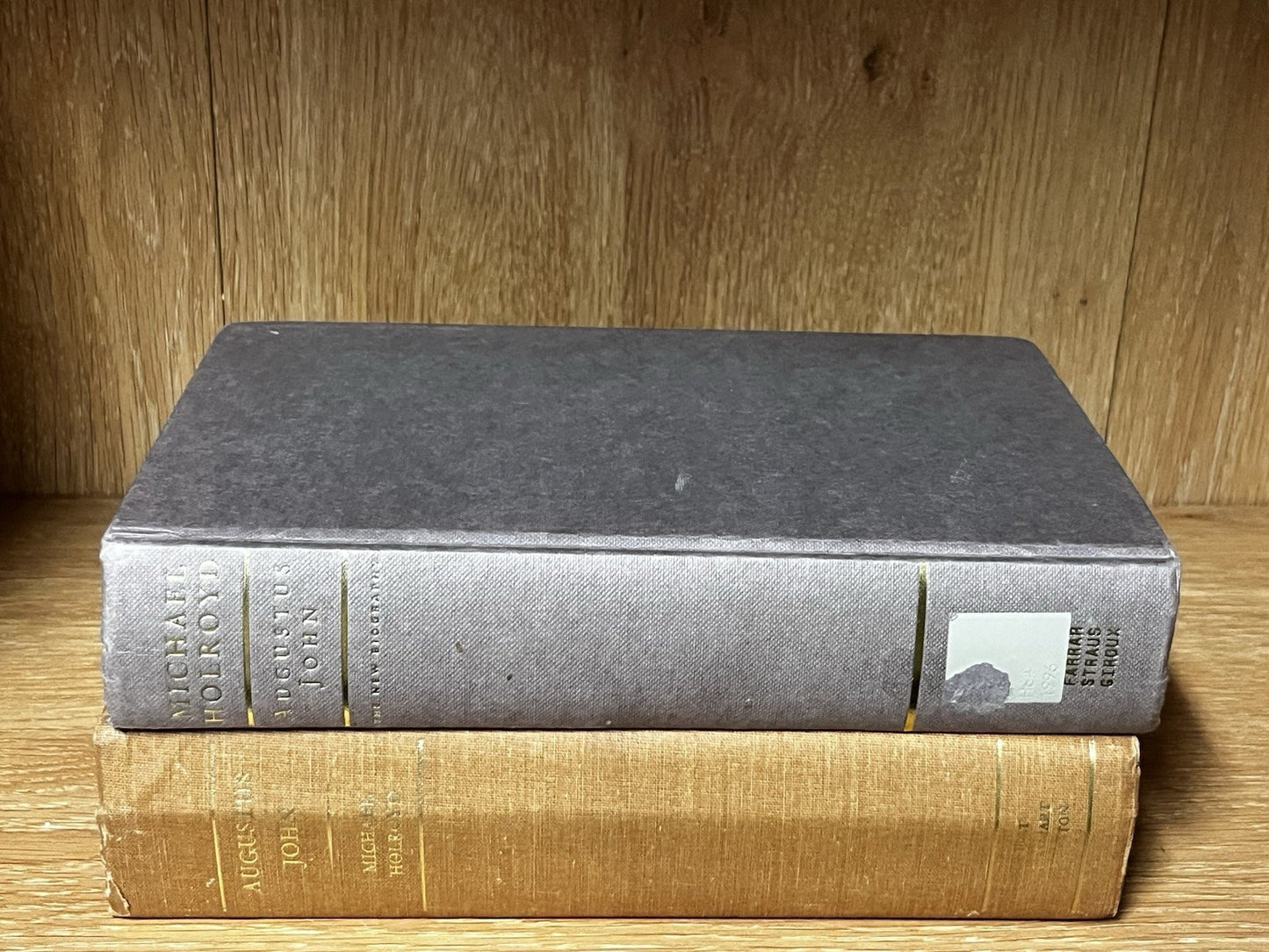 Augustus John : A Biography by Michael Holroyd  1975 & 1996 Ed Lot of 2