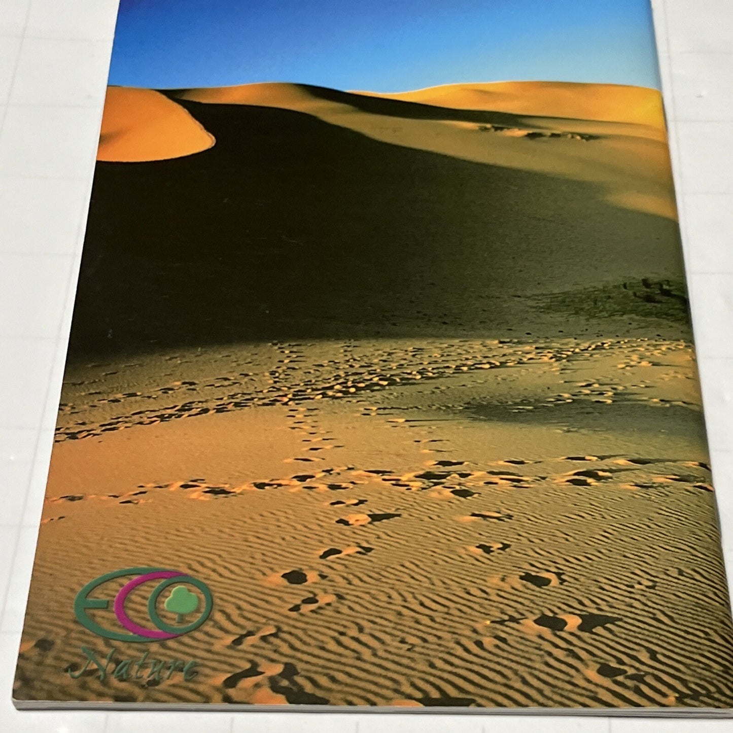 Gobi Gurvansaikhan National Park By Bernd Steinhauer-burkart