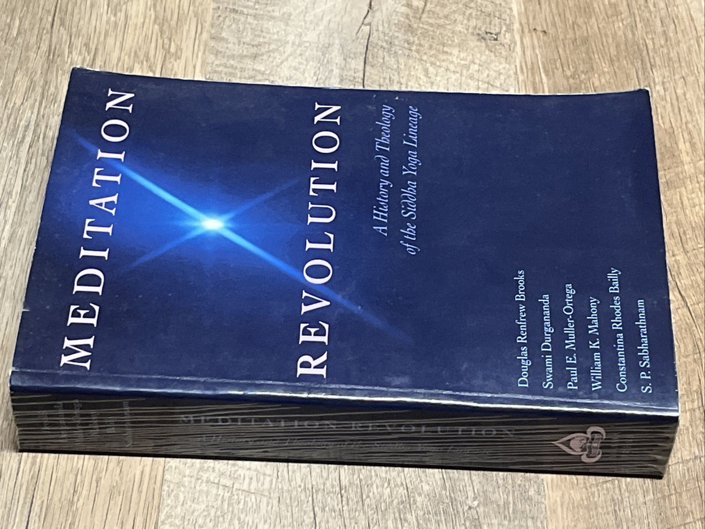 Meditation Revolution 1st Ed A History And Theology Of The Siddha Yoga Lineage