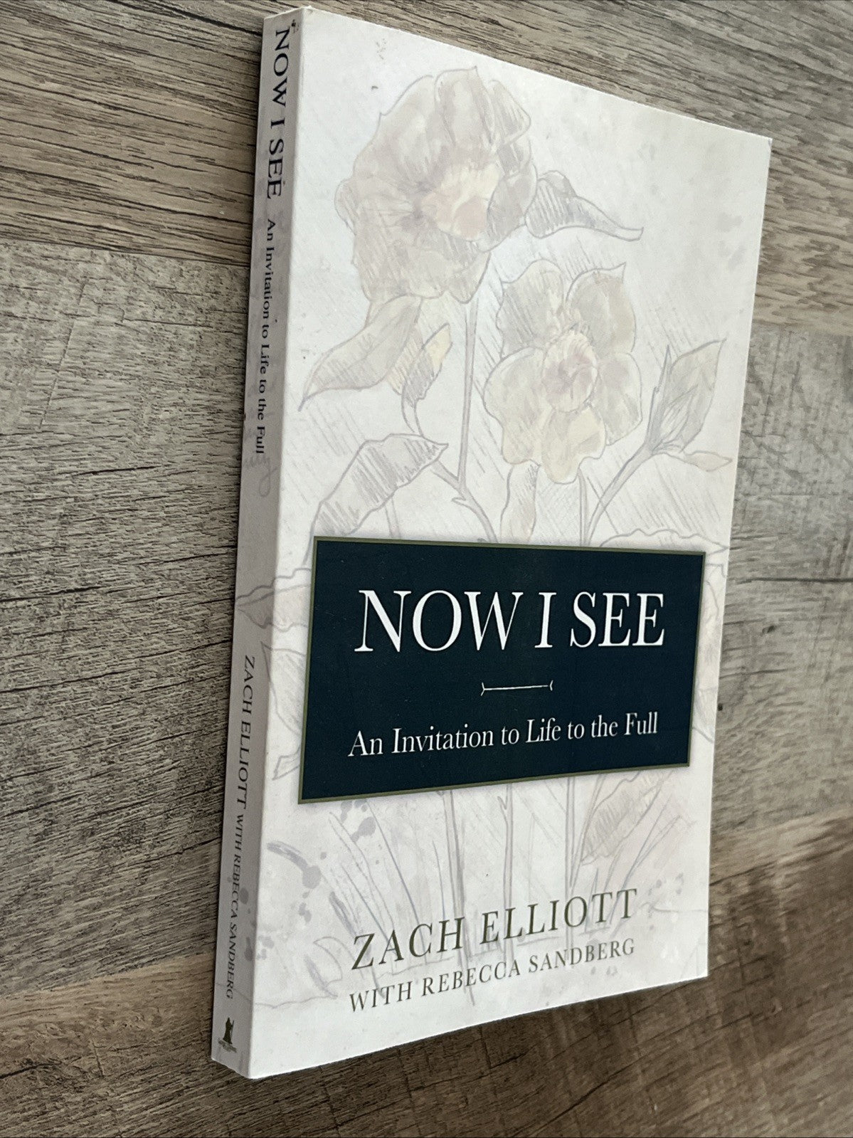 Now I See: An Invitation to Life to the Full by Zach Elliott, Like New Used,...