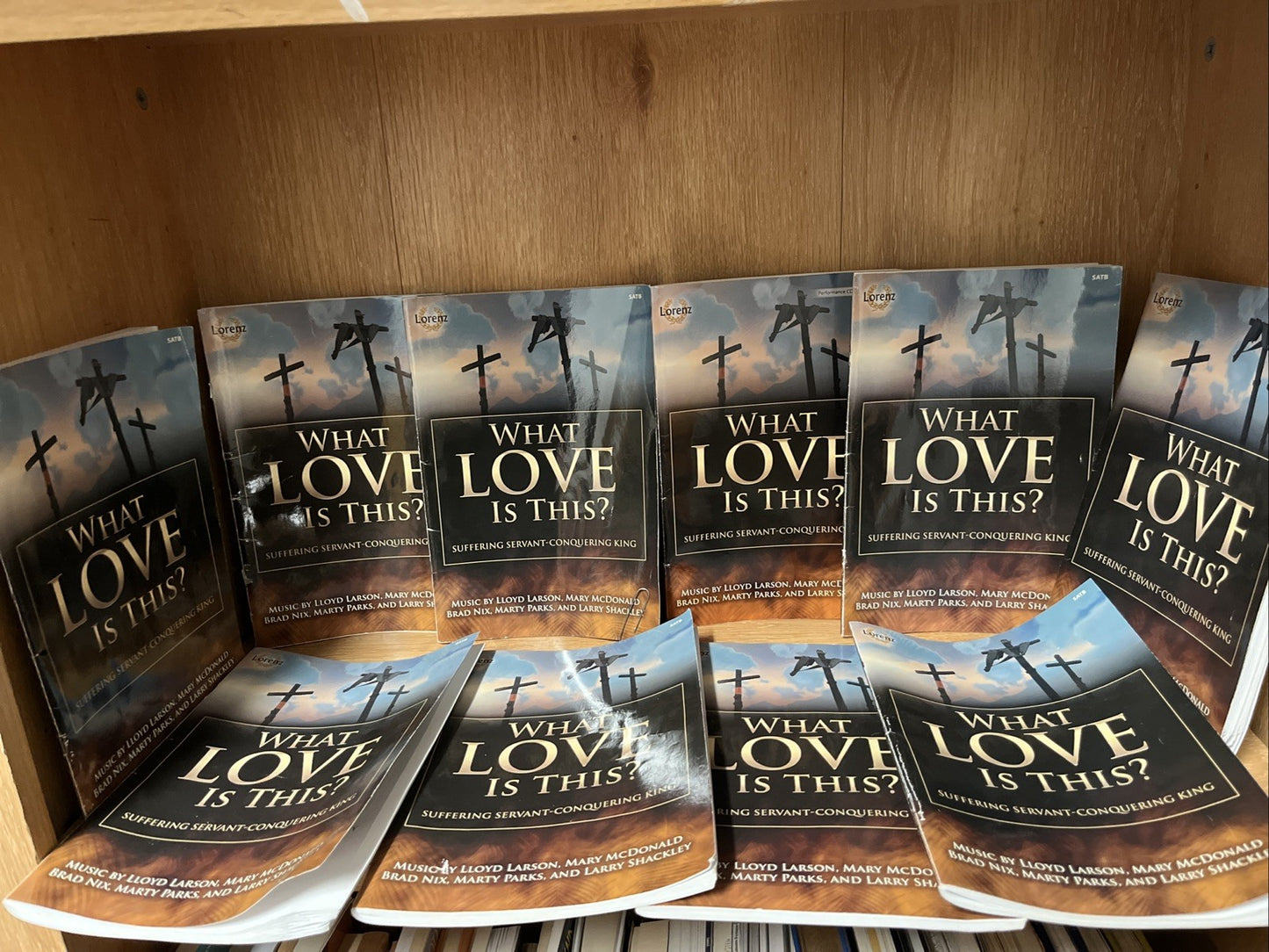 LOT OF 10 WHAT LOVE IS THIS? SAB: SUFFERING SERVANT CONQUERING KING Lloyd Larson