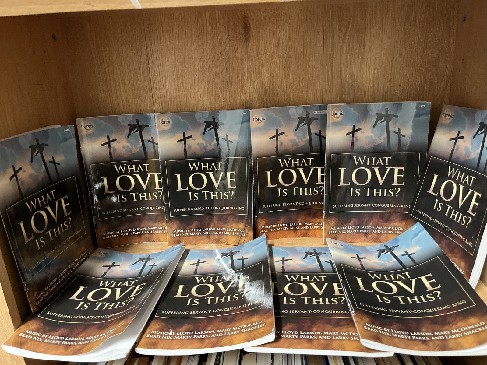 LOT OF 10 WHAT LOVE IS THIS? SAB: SUFFERING SERVANT CONQUERING KING Lloyd Larson