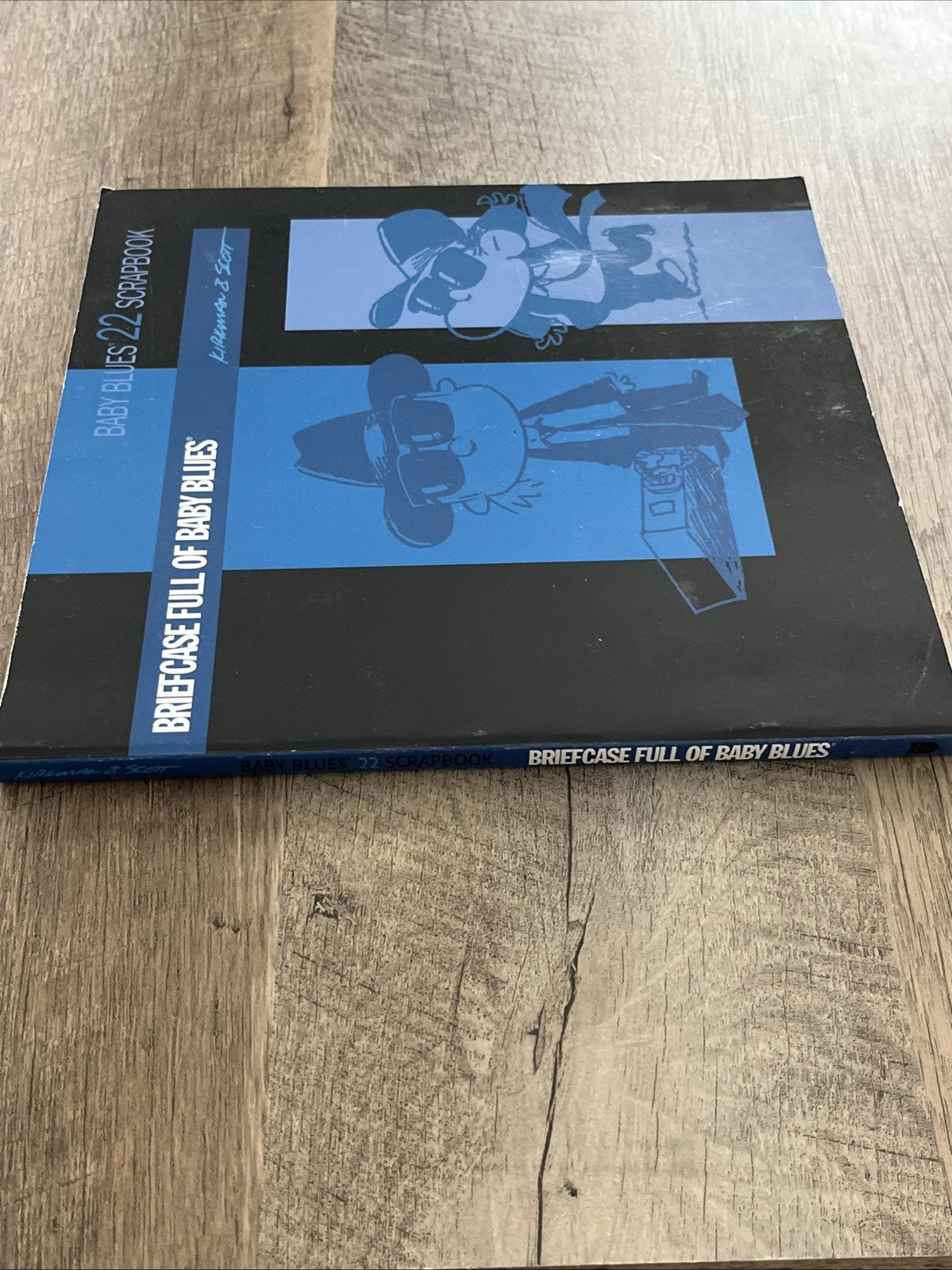 BRIEFCASE FULL OF BABY BLUES By Rick Kirkman & Jerry Scott *Excellent Condition*