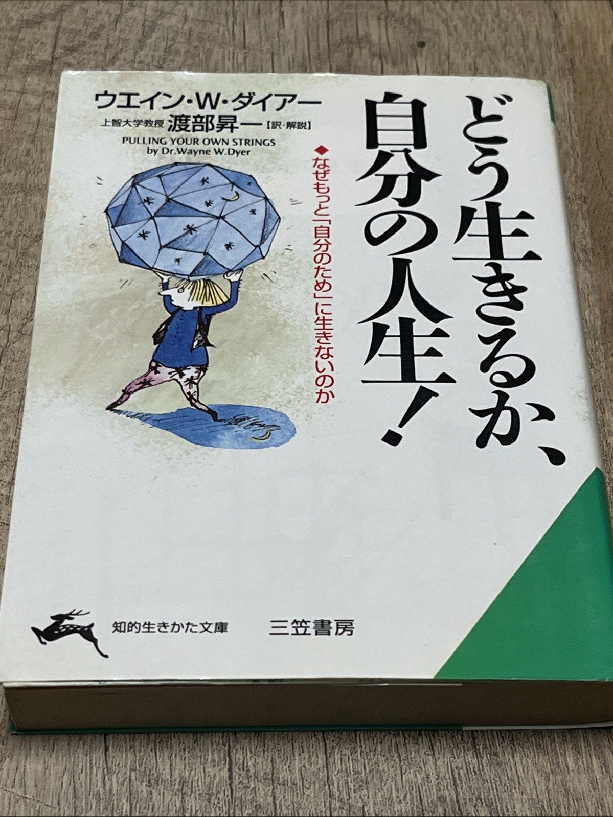 How to Live Your Life! どう生きるか、自分の人生！（文庫本）