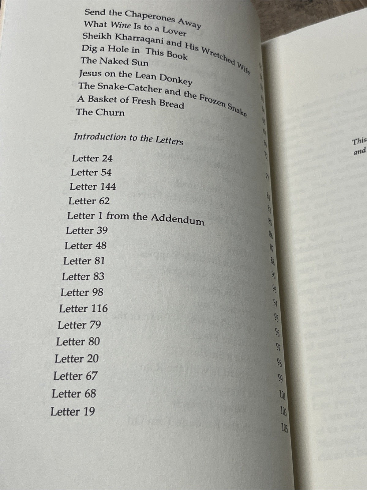 This Longing: Poetry, Teaching Stories, & Letters of Rumi Translated By Coleman