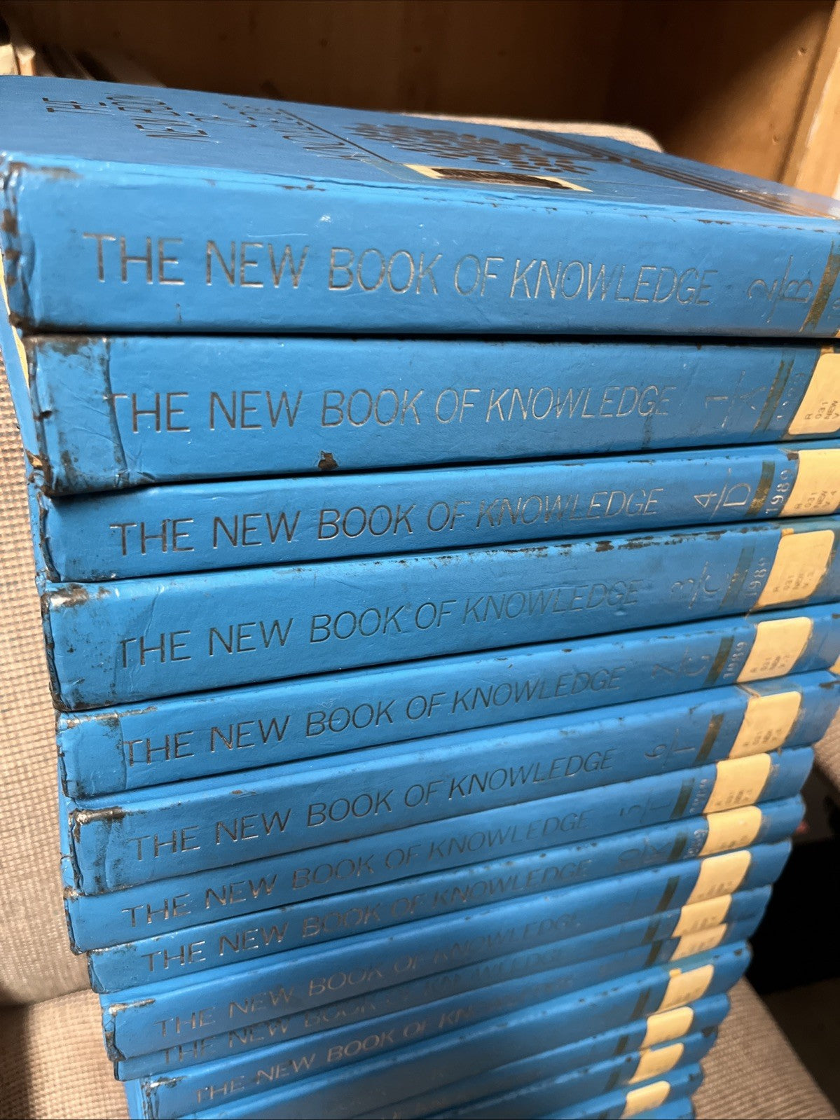 The New Book of Knowledge Encyclopedia 1989 Complete Set 21 Vols. Deluxe Lib Ed