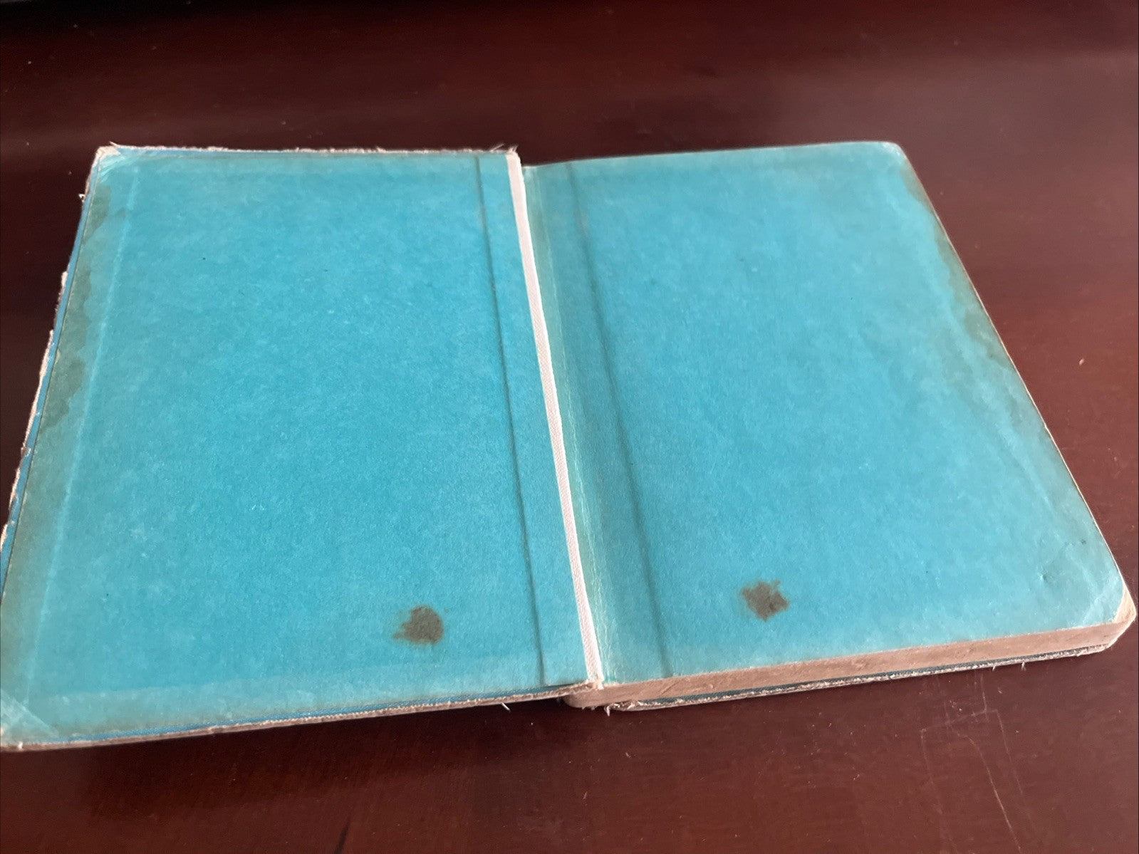 Washington Irving 1 st Edition Boy of Old New York Mabel Cleland Widdener 1946