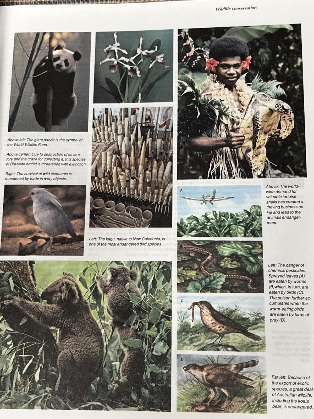 The New Webster’s International Encyclopedia The New Illustrated Ref Vol 1 - 10