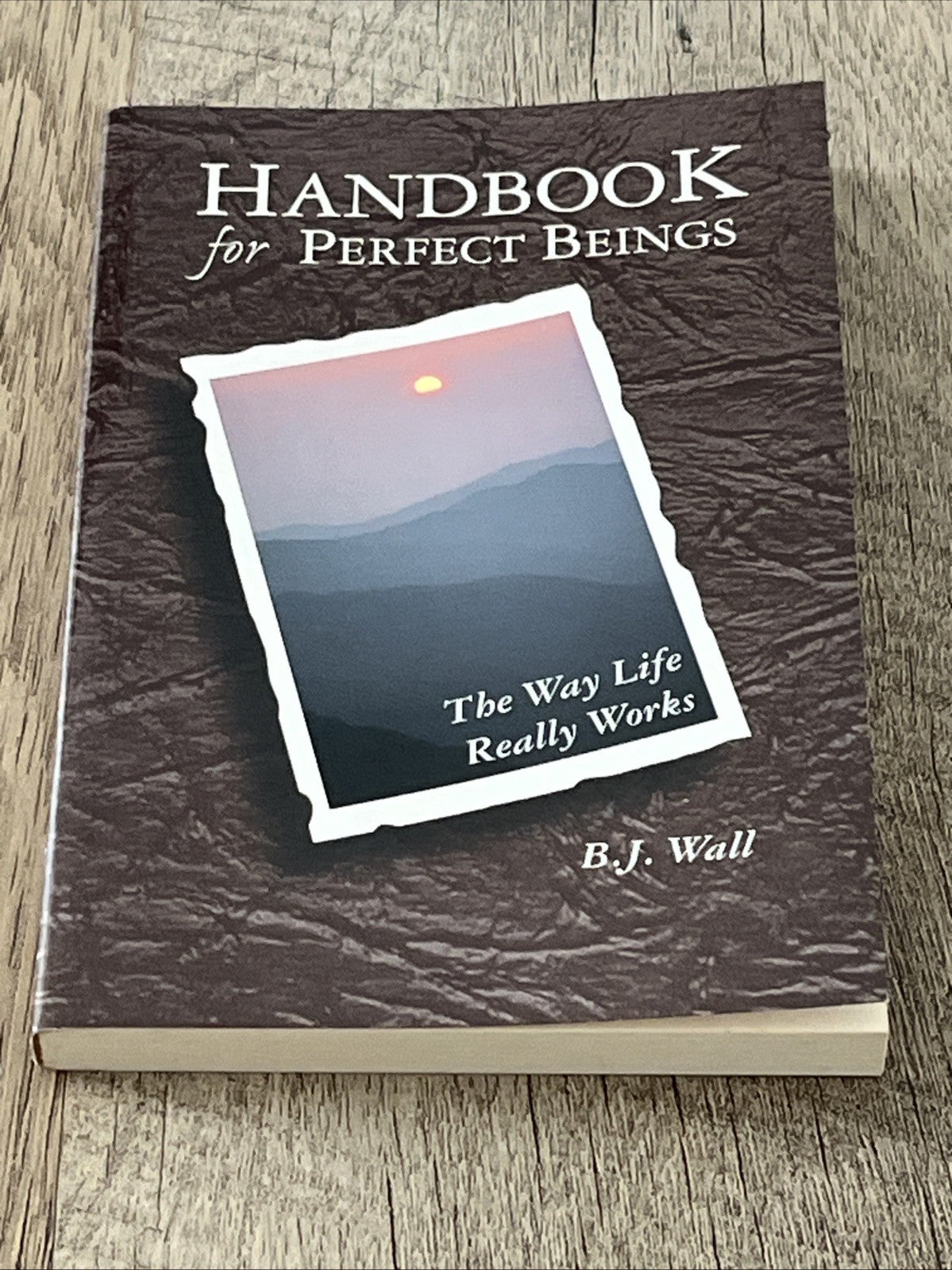 Handbook for Perfect Beings: The Way Life Really Works by B.J. Wall (English)