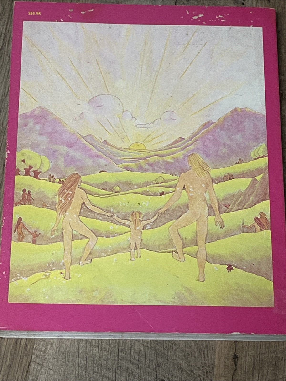 Survival Into the 21st Century Planetary Healers Manual Kulvinskas Max Paperback