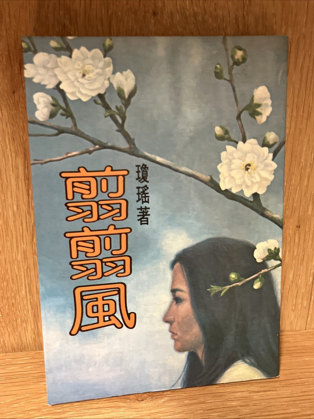Lot of 12 Taiwanese author Chiung Yao Chinese novels Romance Stories Mixed book