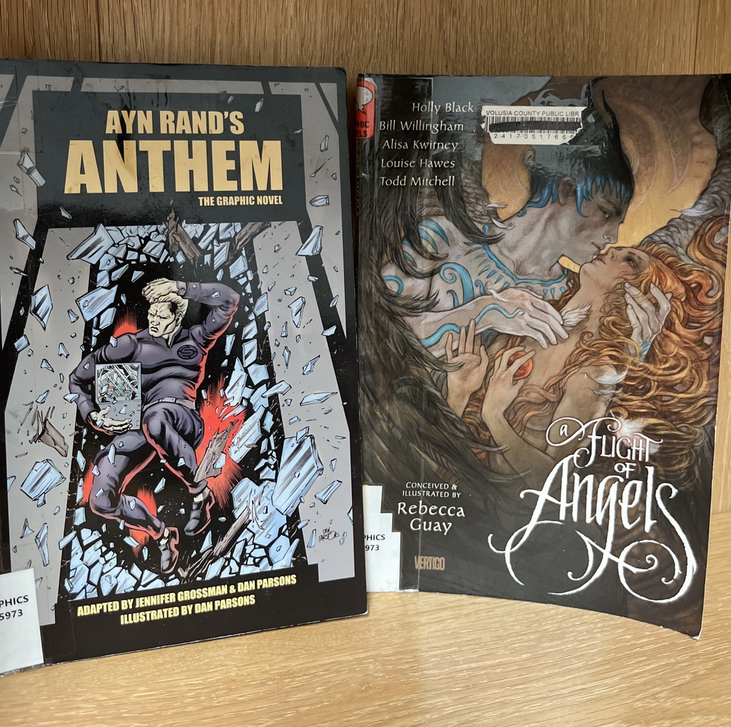 Graphic Novel Lot Of 2Books A Flight Of Angels Vertigo And Ayn Anthem