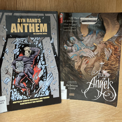Graphic Novel Lot Of 2Books A Flight Of Angels Vertigo And Ayn Anthem