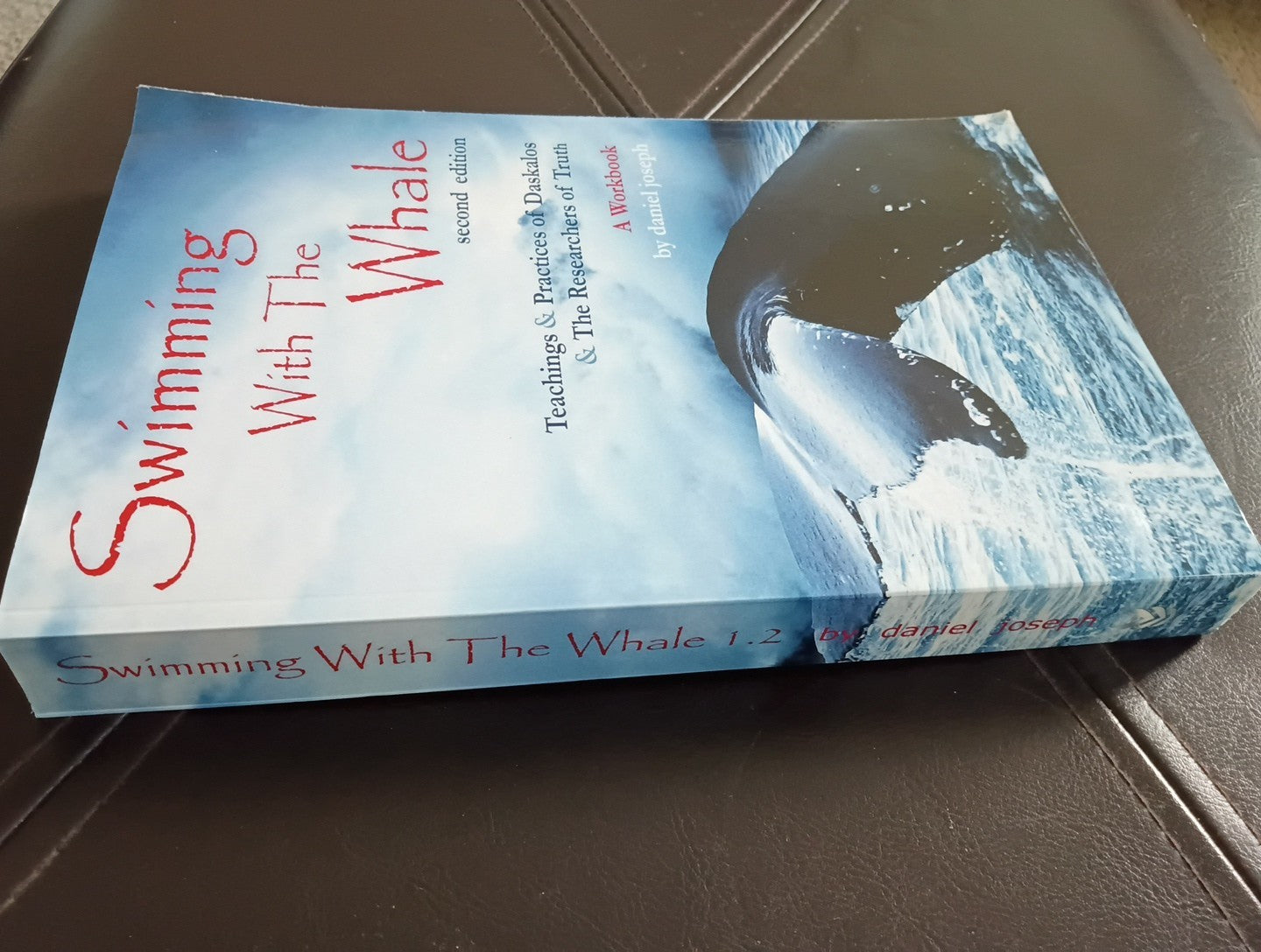 Swimming with the Whale: The Miracles, Wonders  Healings of Daskalo - **MINT**