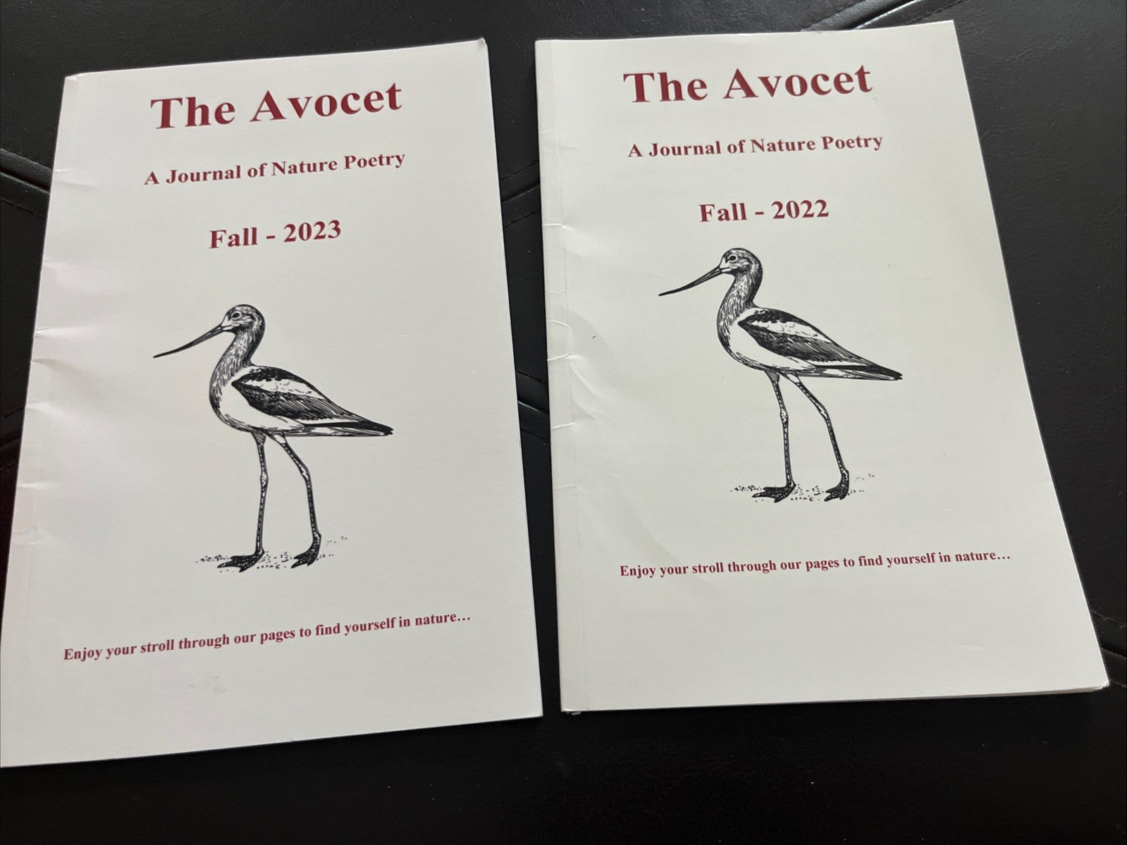 The Avocet : A Jouney of Nature Poetry Fall 2022 - 2023