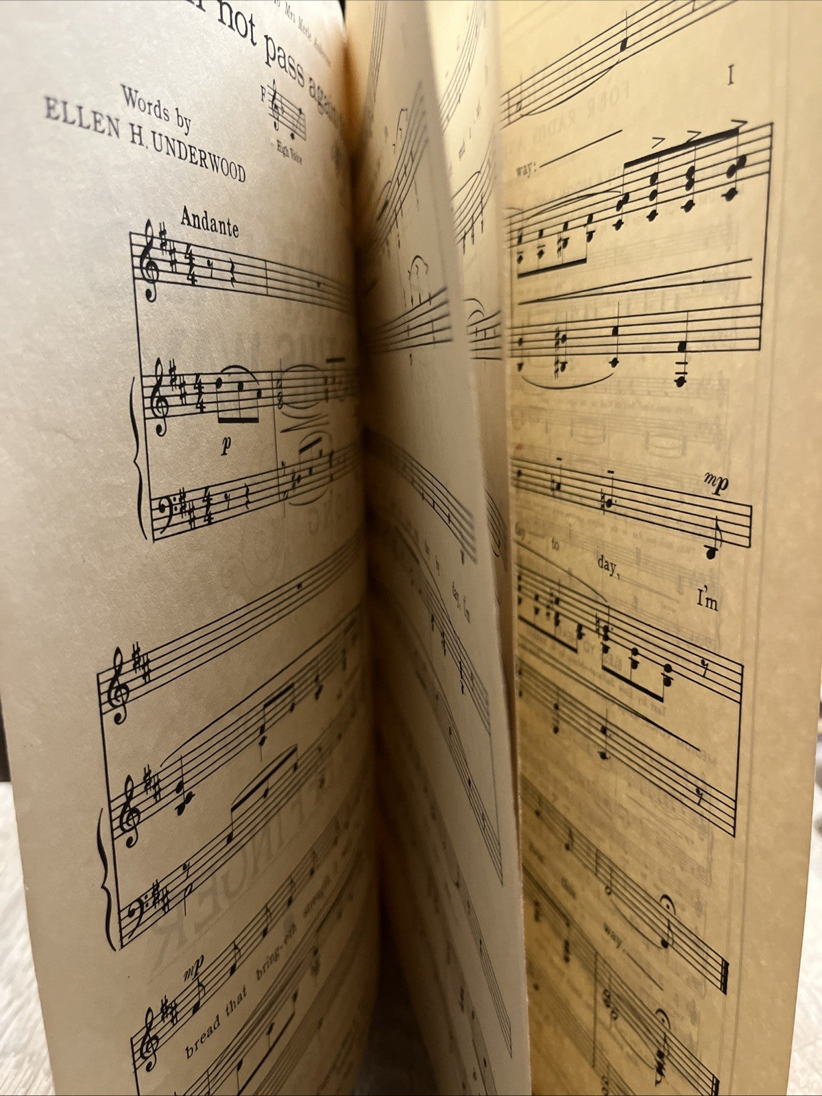 I Shall Not Pass Again This Way By Stanley S. Effinger 1924 Low Voice Music