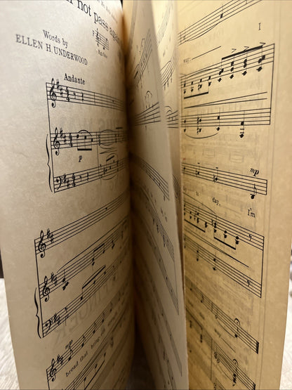 I Shall Not Pass Again This Way By Stanley S. Effinger 1924 Low Voice Music