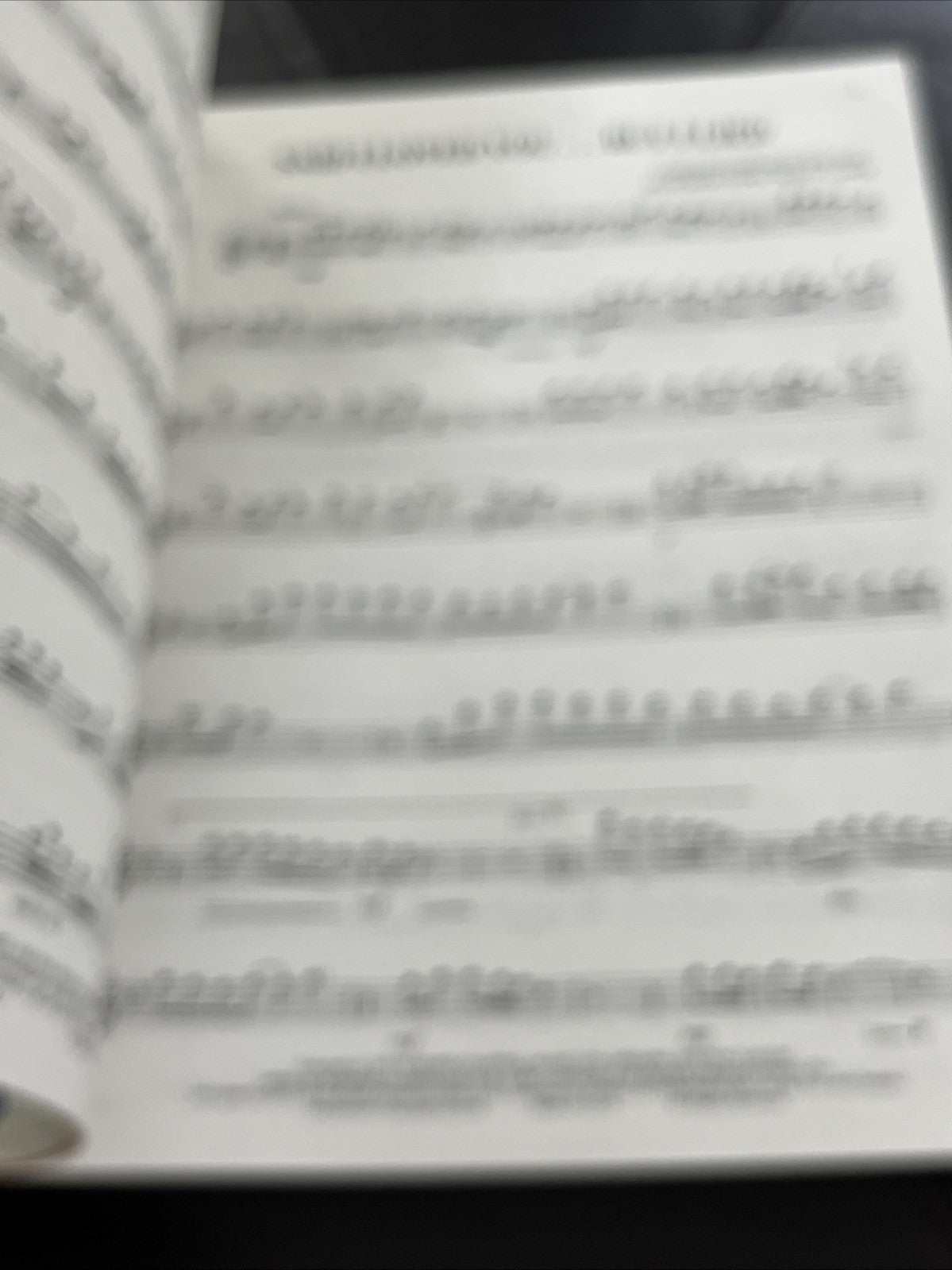 FLUTE SHOWSTOPPERS Sheet music Book 1995