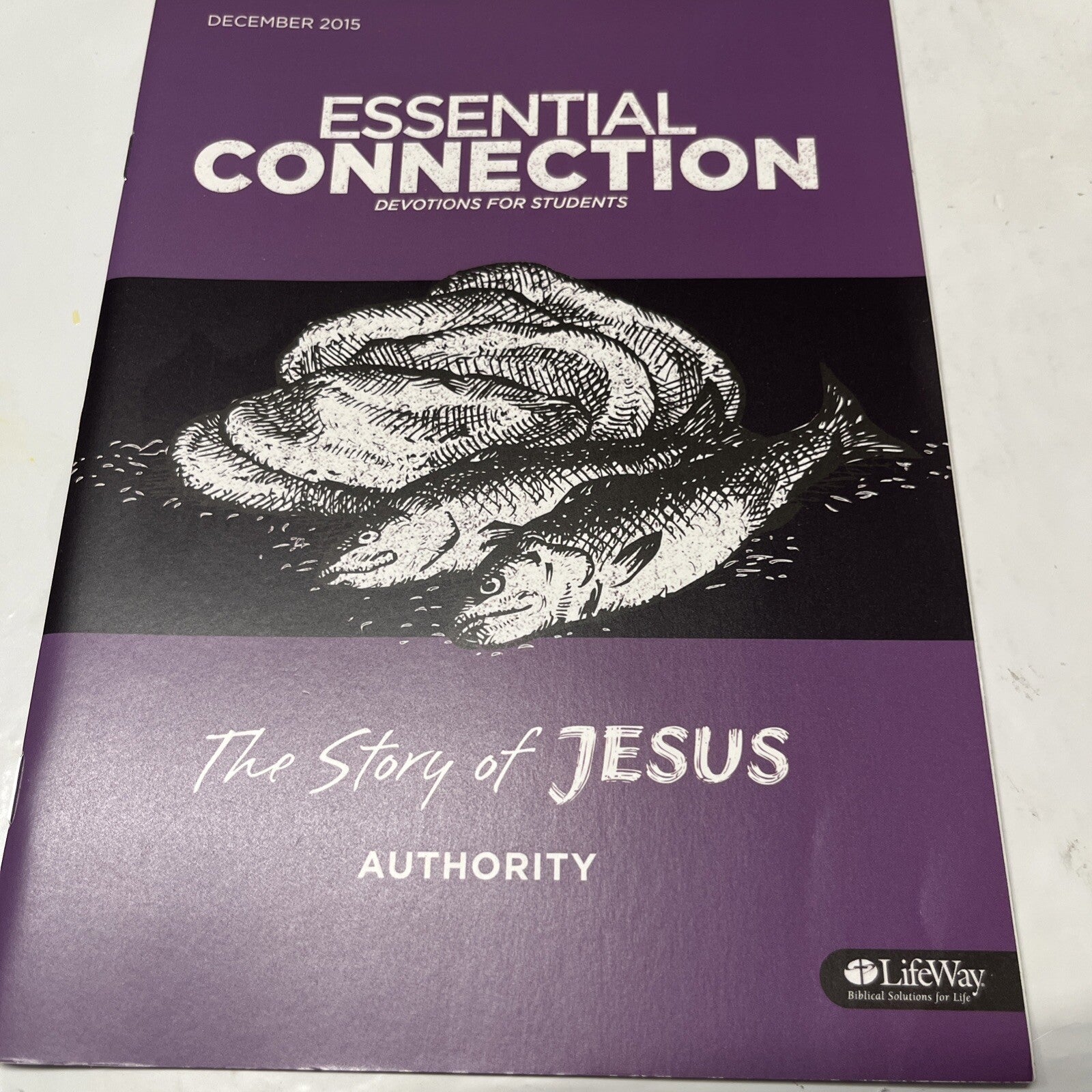 Essential Connection Devotions For Students  2015 The Story Of Jesus Authority