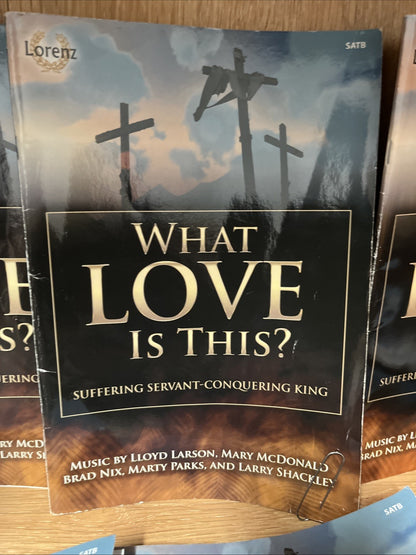 LOT OF 10 WHAT LOVE IS THIS? SAB: SUFFERING SERVANT CONQUERING KING Lloyd Larson