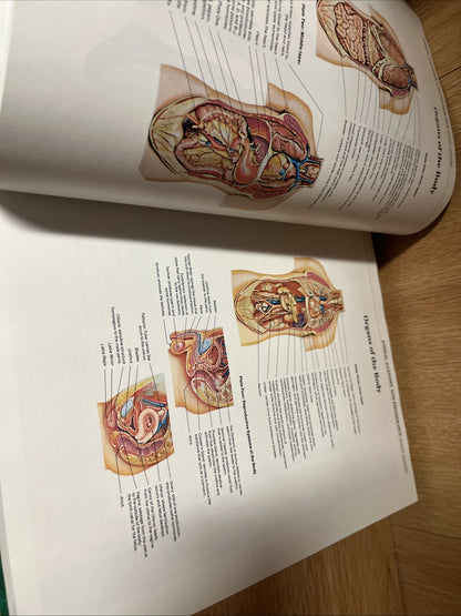The Learning Company Southwestern B Biological Science The Arts 3-4