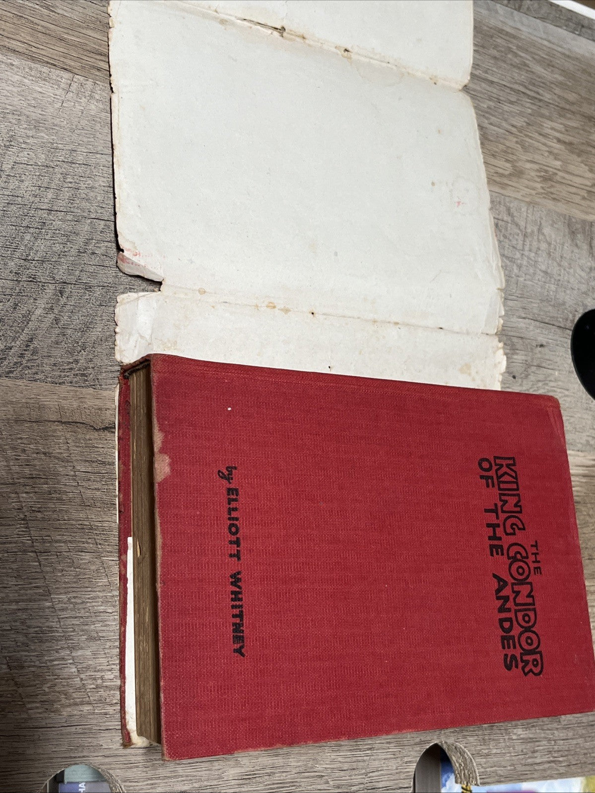 The King Condor of the Andes by Elliot Whitney 1915 Vintage Book