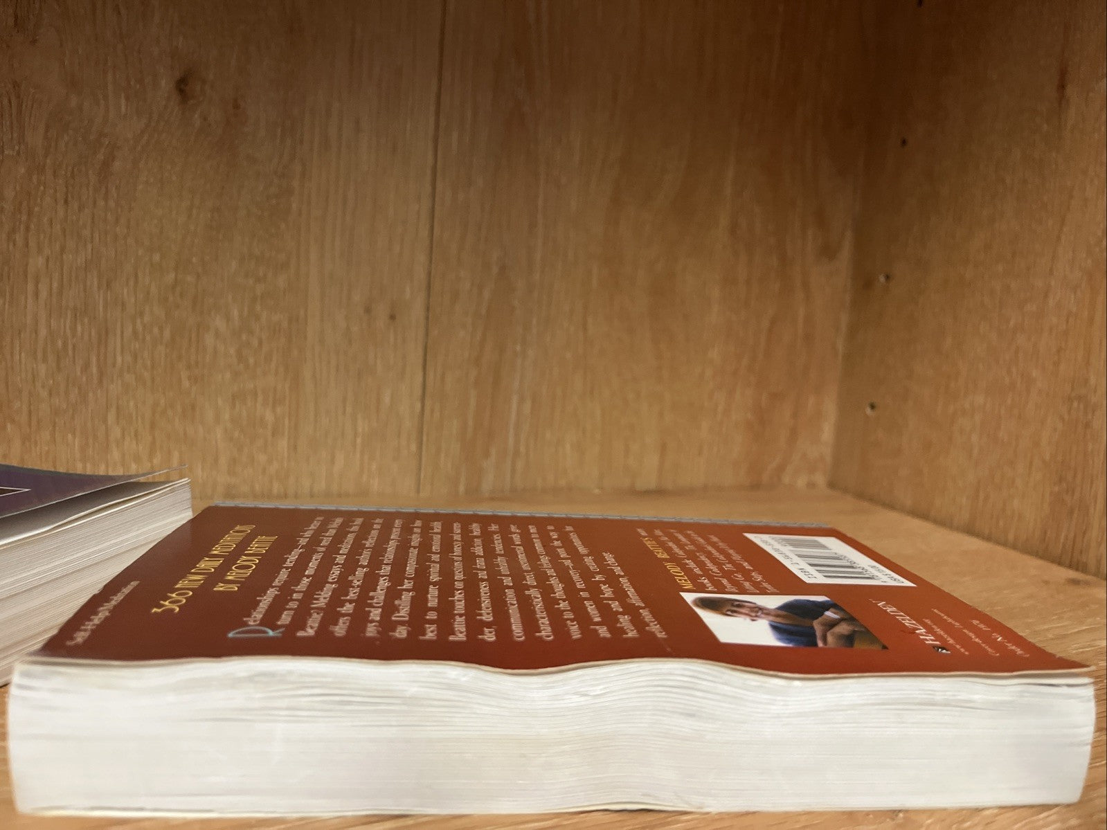 2 The Language of Letting Go Journal Melody Beattie More Language of Letting Go