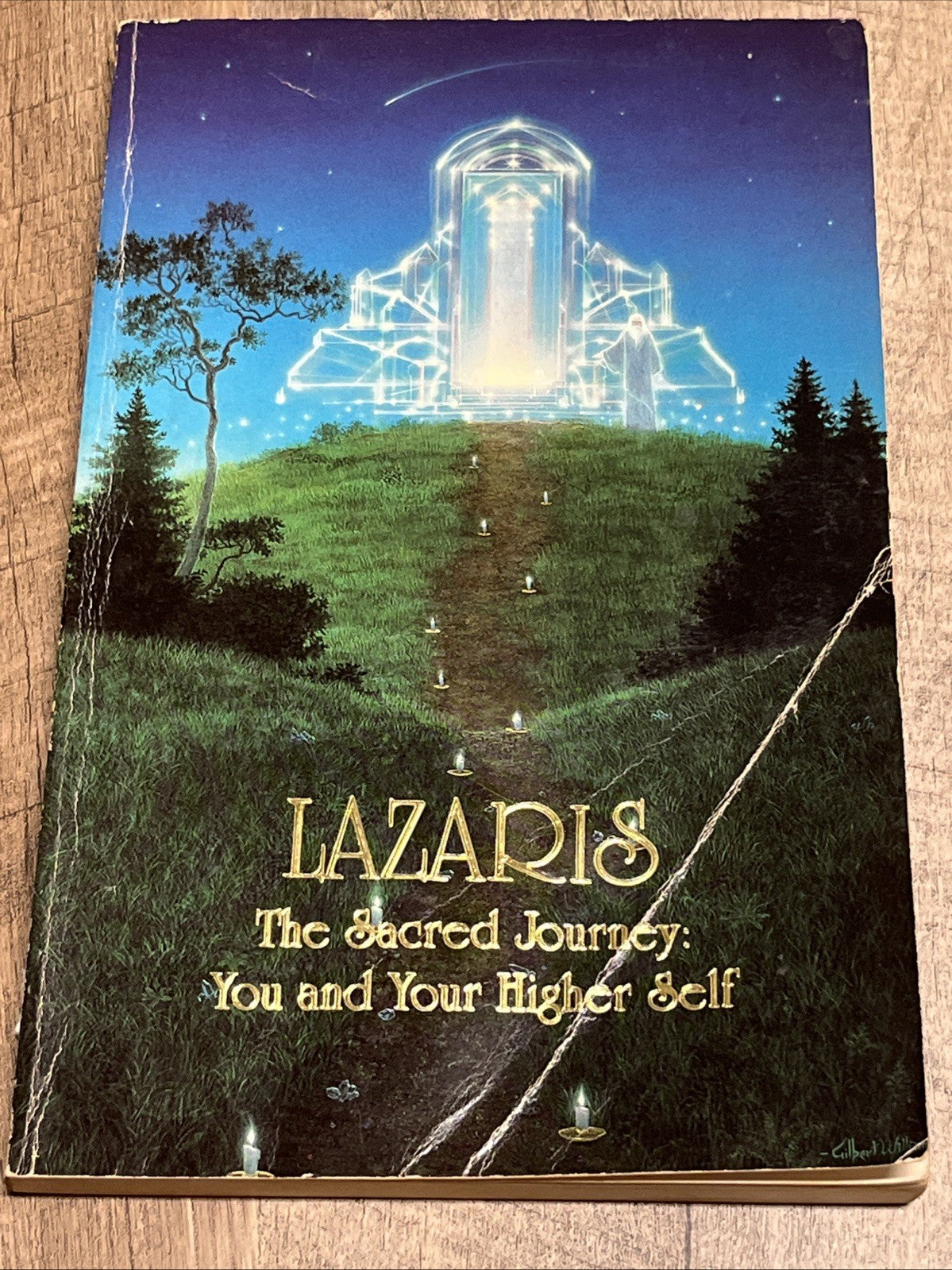 The Sacred Journey: You and Your Higher Self (Lazaris a Channeled...  (1st Ed)