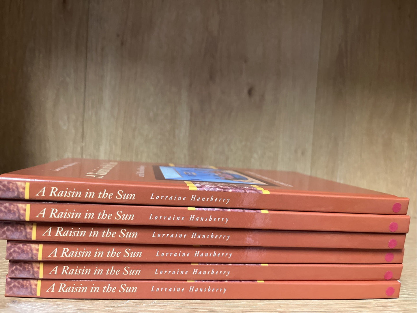 A Raisin in the Sun with Related Reading Lorraine Hansberry  - Lot of 6 Books