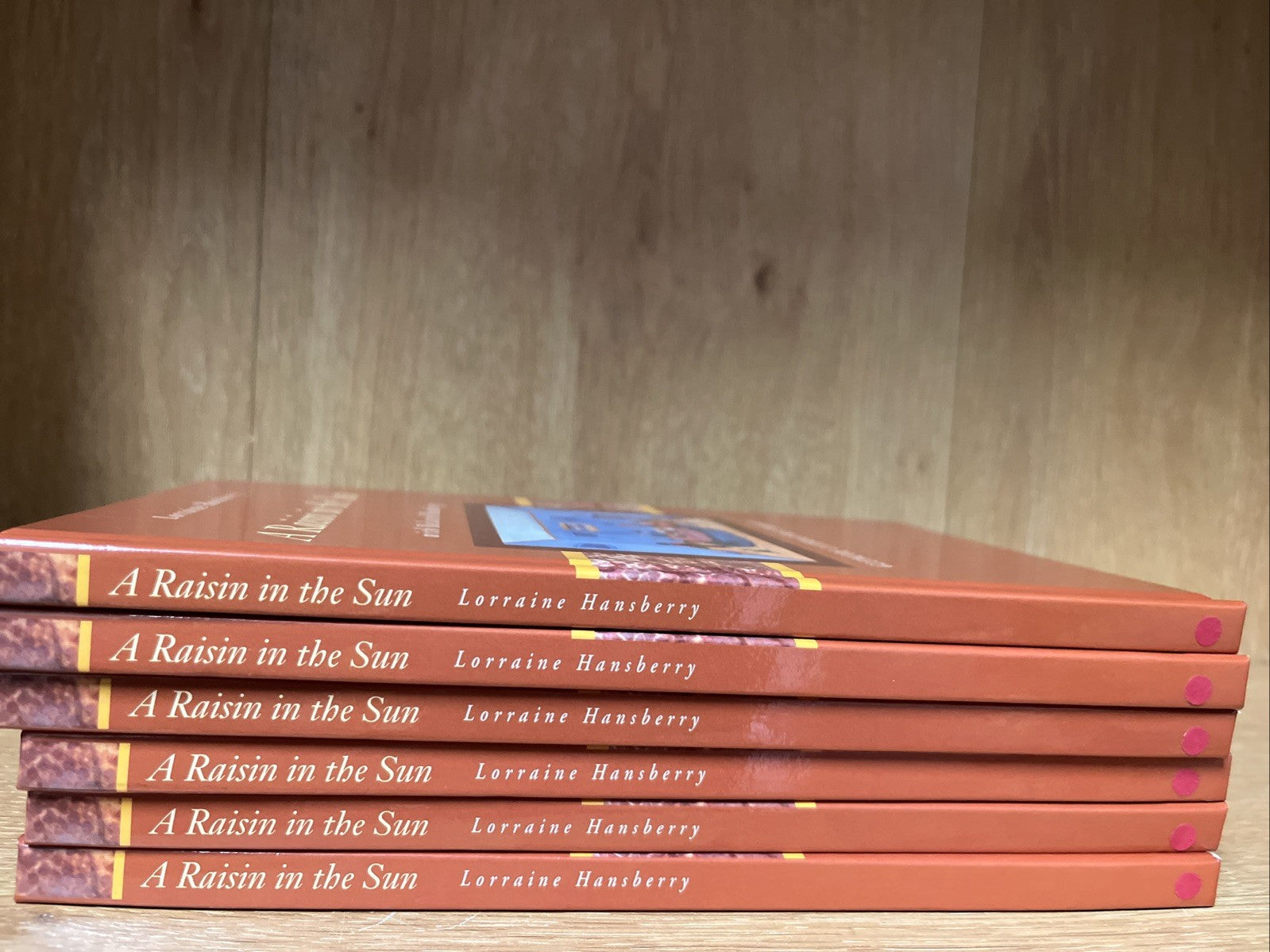 A Raisin in the Sun with Related Reading Lorraine Hansberry  - Lot of 6 Books