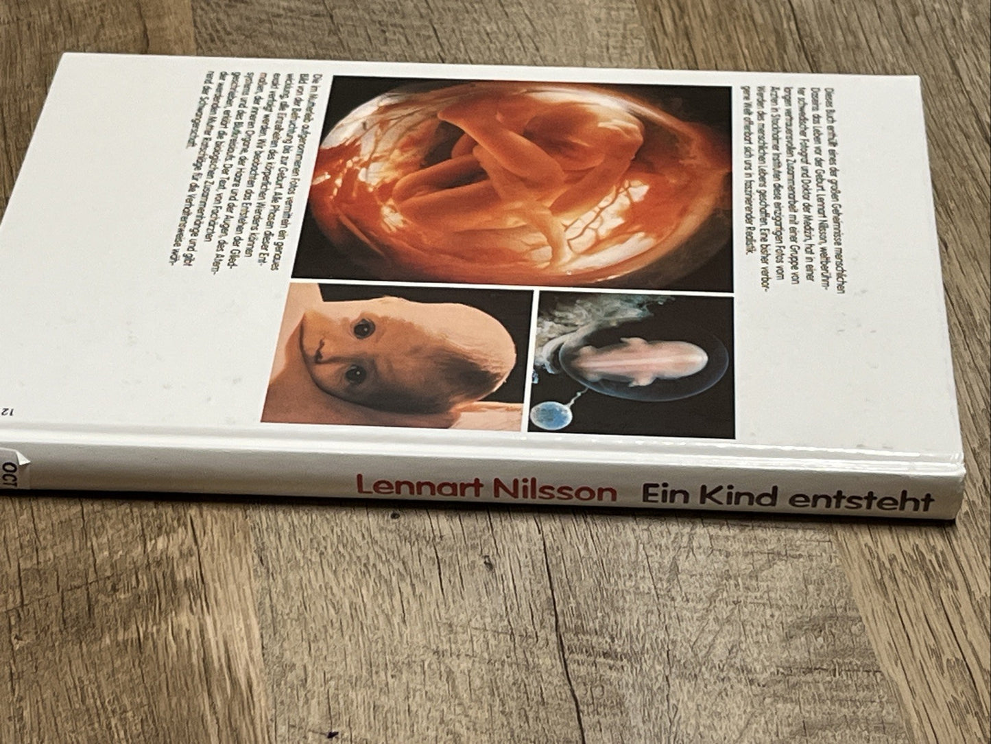 Ein Kind entsteht Bilddokumentation über die Entwicklung des  Lebens im