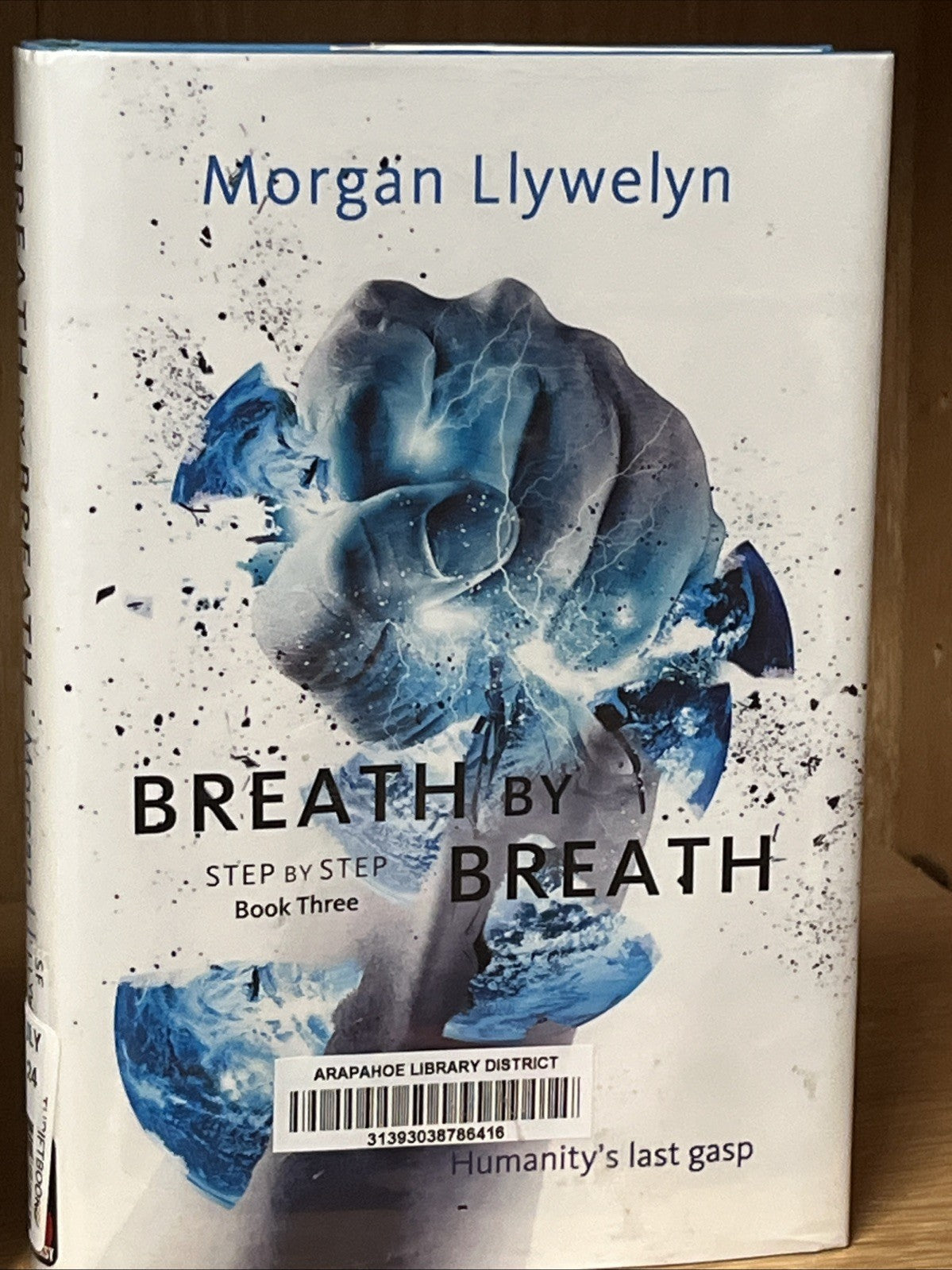 Morgan Llywelyn LOT of 3 1st Edition Hardcover Books