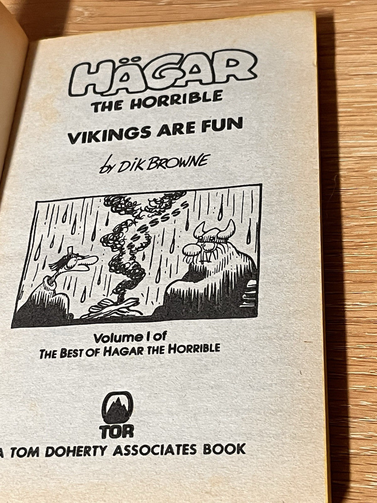 HAGAR THE HORRIBLE: VIKINGS ARE FUN | Herman Melville Typee & Red Pyramid Rick