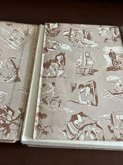 hardy boys mystery stories The Phantom Freight & The Great Lin & F. w. dixon