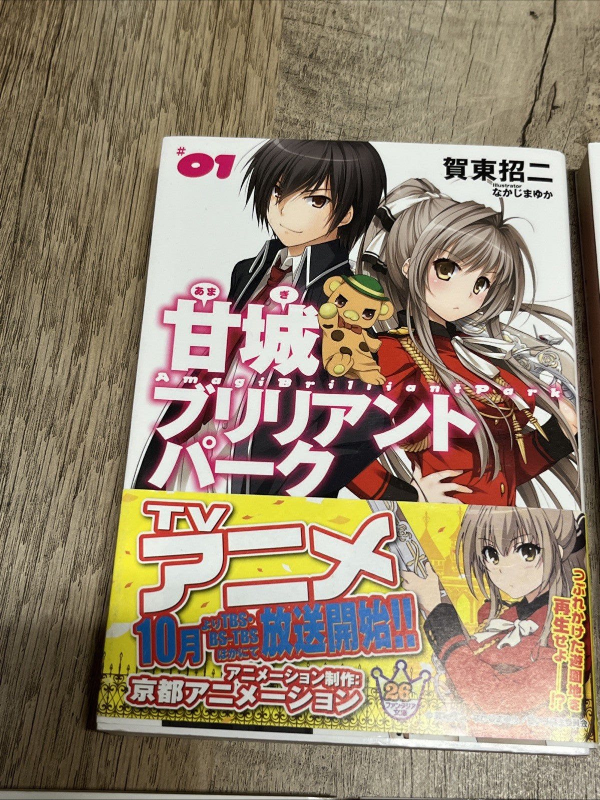 Amagi Brilliant Park Bunko Volumes 1-5 Set (Fujimi Fantasia Bunko) Shoji Gatoh
