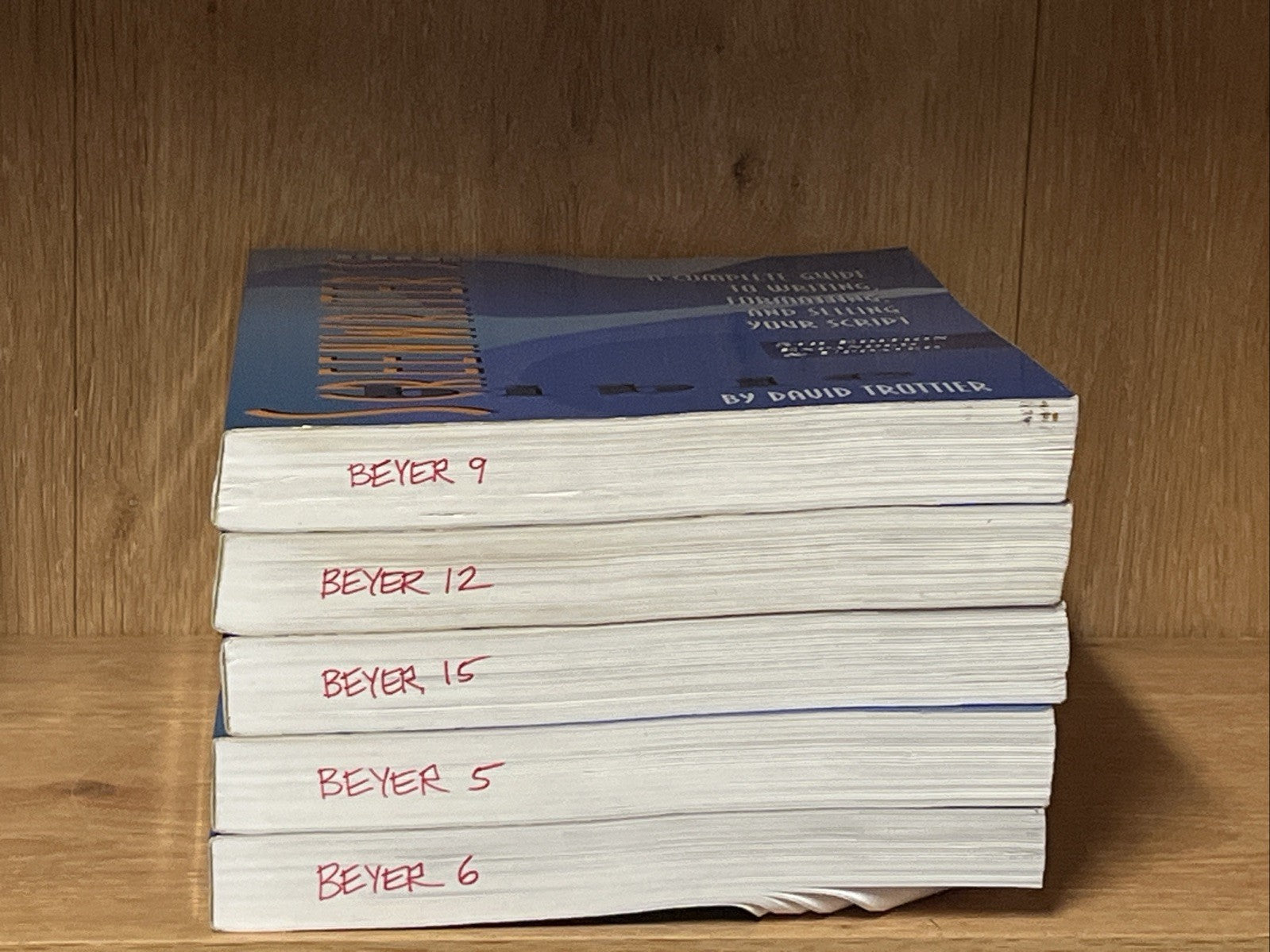 Lot of 5 The Screenwriter's Bible: A Complete Guide to Writing,Formatting 5th Ed