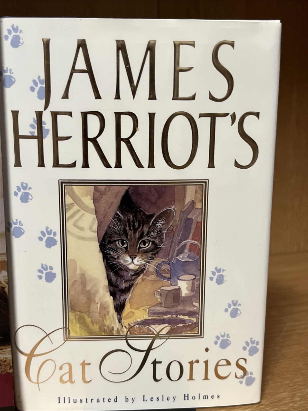 cat book lot of 2